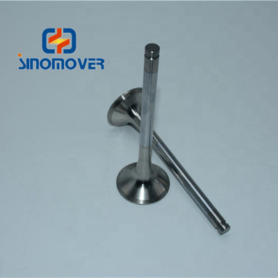 Exhaust Valve Howo Sino Truck Spare Parts 612600050025 VG 1560050041